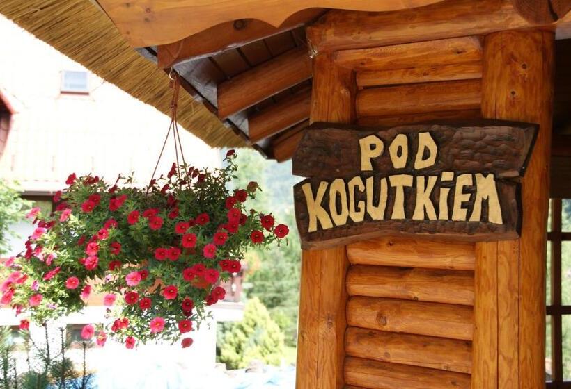 Bed and Breakfast Willa Stareczka