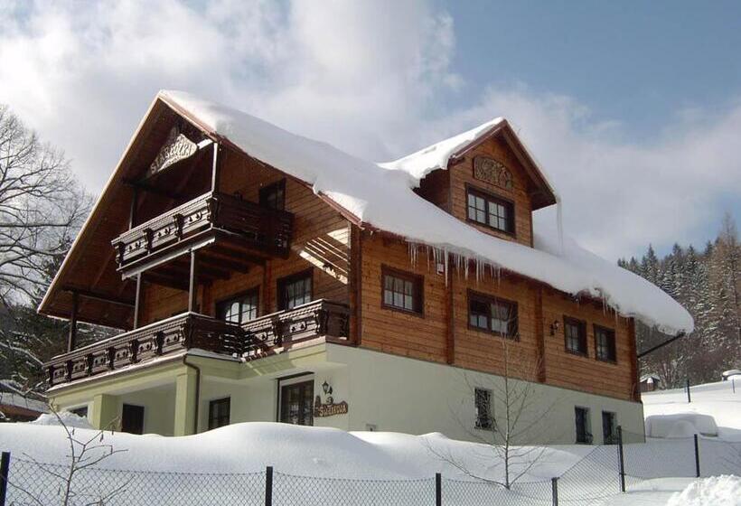 Bed and Breakfast Willa Stareczka