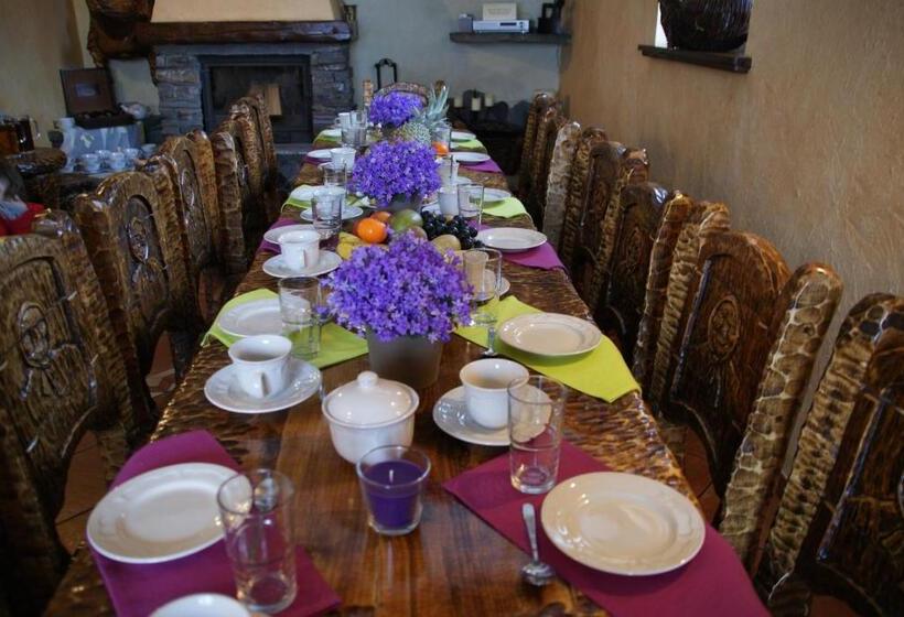 Bed and Breakfast Willa Stareczka