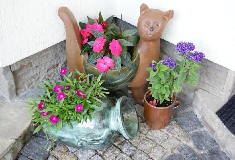 Bed and Breakfast Willa Stareczka