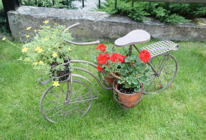 Bed and Breakfast Willa Stareczka