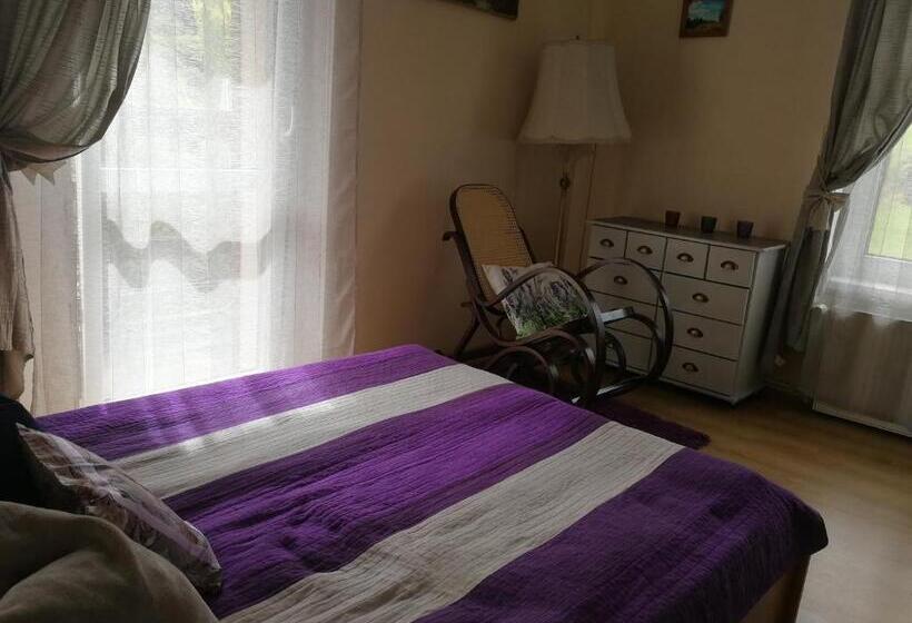 호텔 Agroturystyka  żabi Dołek