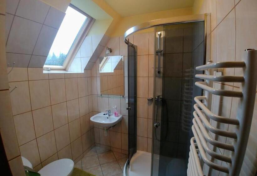 پانسیون Willa Pawlikowskich