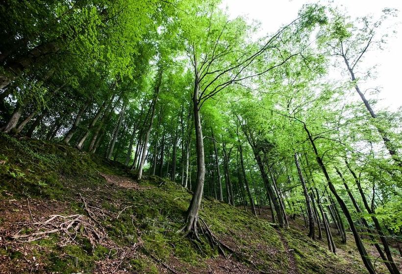 Курорт Ciekocinko Powozownia