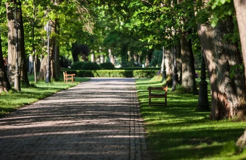 Курорт Ciekocinko Powozownia