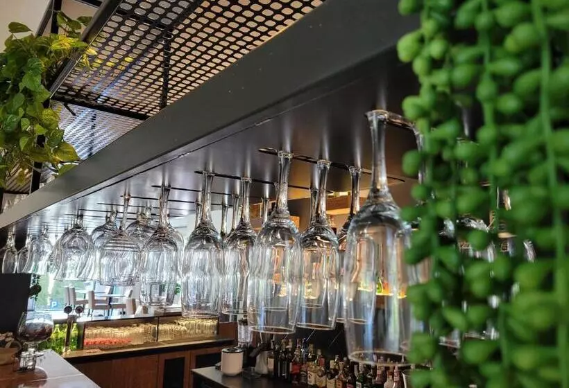 Lomakeskus Koral Live