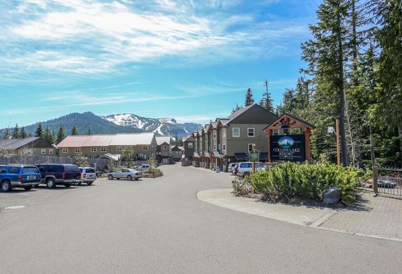 ホテル Collins Lake Condo