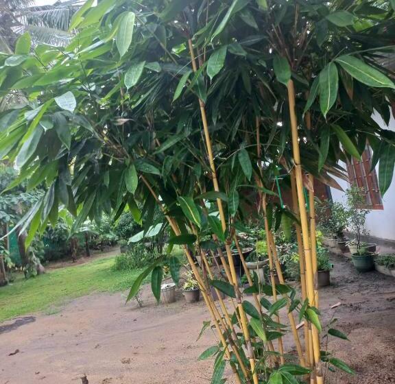 פנסיון Kamatha Ceylon