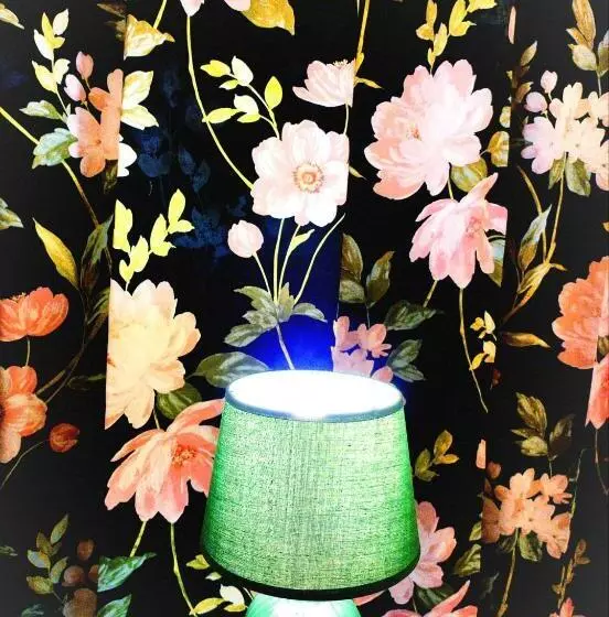 Bed and Breakfast Il Sole Di Baggio