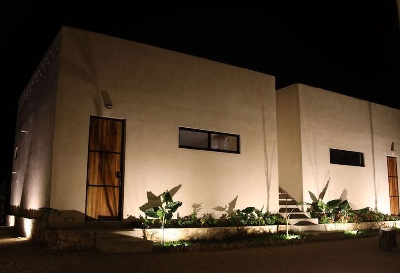 Bed and Breakfast Reset Atemporal