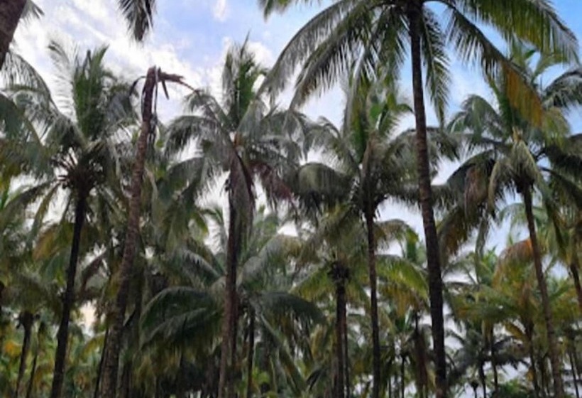 호텔 Visava Riverside