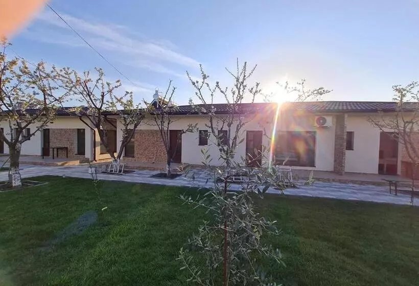 پانسیون Camere De Inchiriat Cris&dia