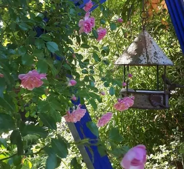 ペンション La Cabane Du Bon Chemin ,spa
