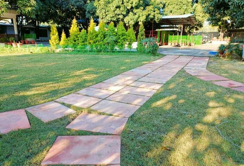 The Quintessence Hotel And Resort