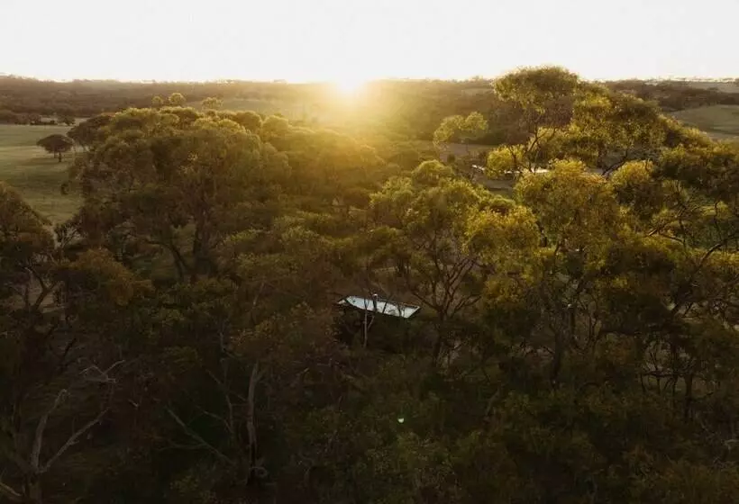 Hotelli Cabn Clare Valley