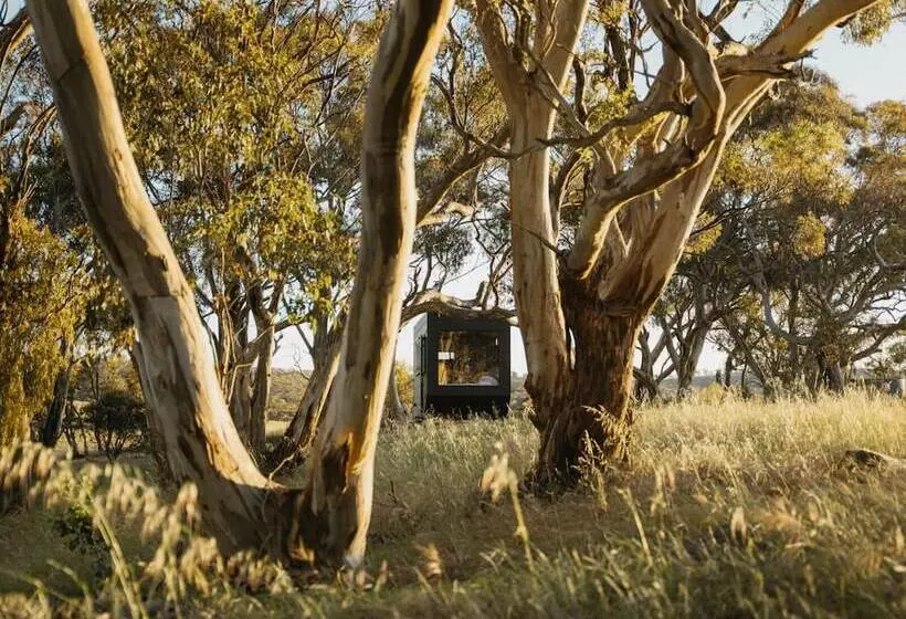 Hotelli Cabn Clare Valley