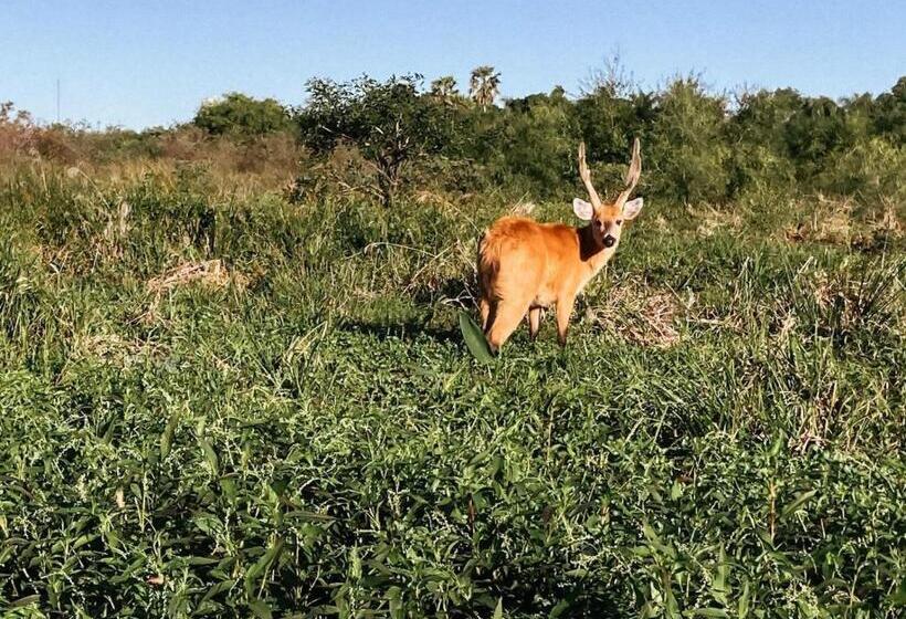 Hotel Yporá Lodge