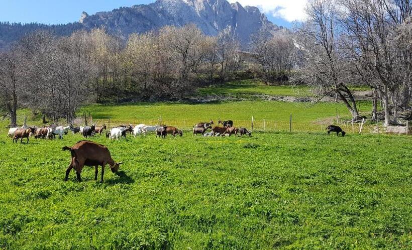 مبيت وإفطار Chambre D Hôtes à La Ferme
