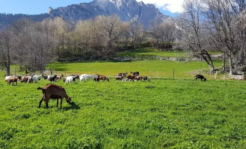 Aamiaismajoitus (B&B) Chambre D Hôtes à La Ferme