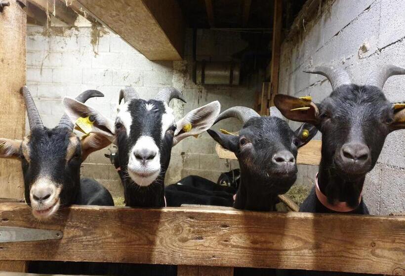 مبيت وإفطار Chambre D Hôtes à La Ferme