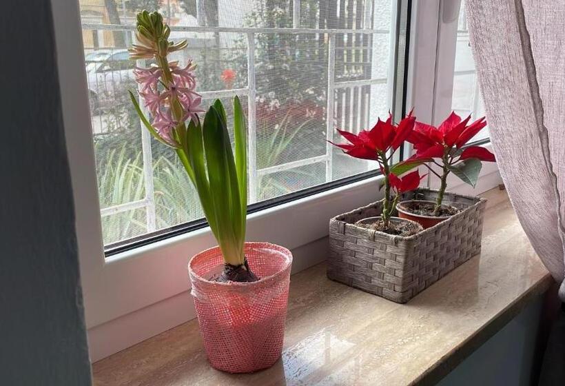 Пансион Suite Europa