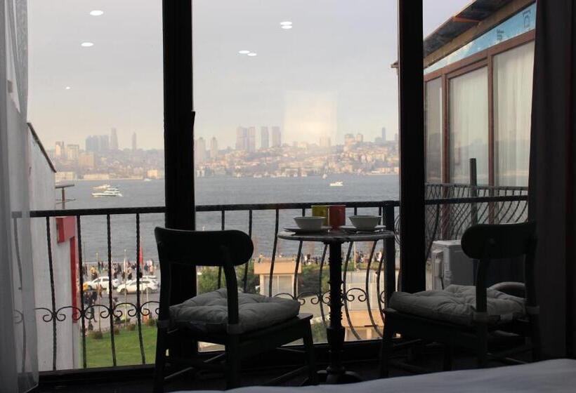 Schronisko Suit üsküdar