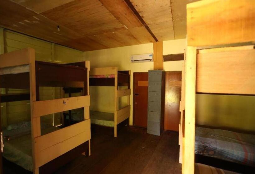 Bed and Breakfast C Point Krui