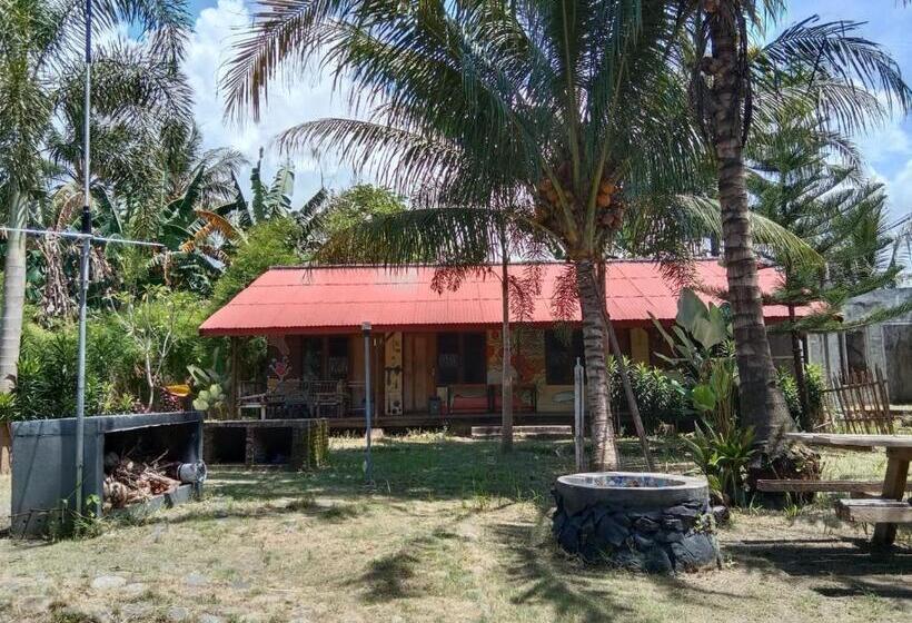 Bed and Breakfast C Point Krui