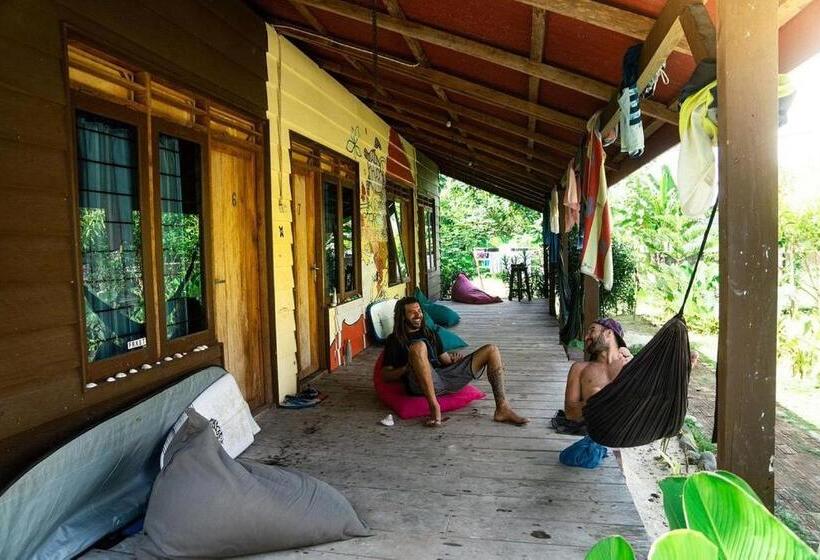 Bed and Breakfast C Point Krui