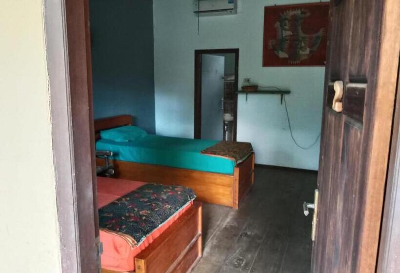 住宿加早餐  C Point Krui