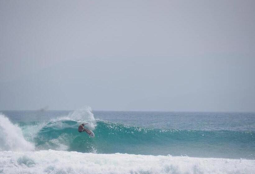 住宿加早餐  C Point Krui