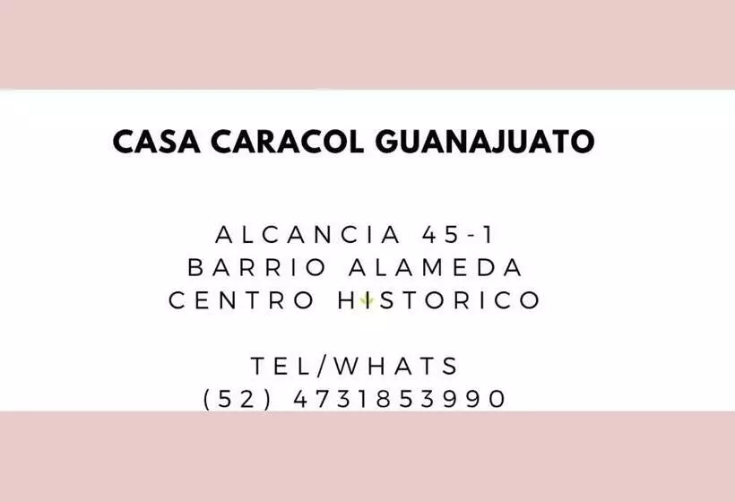 Casa Caracol Guanajuato