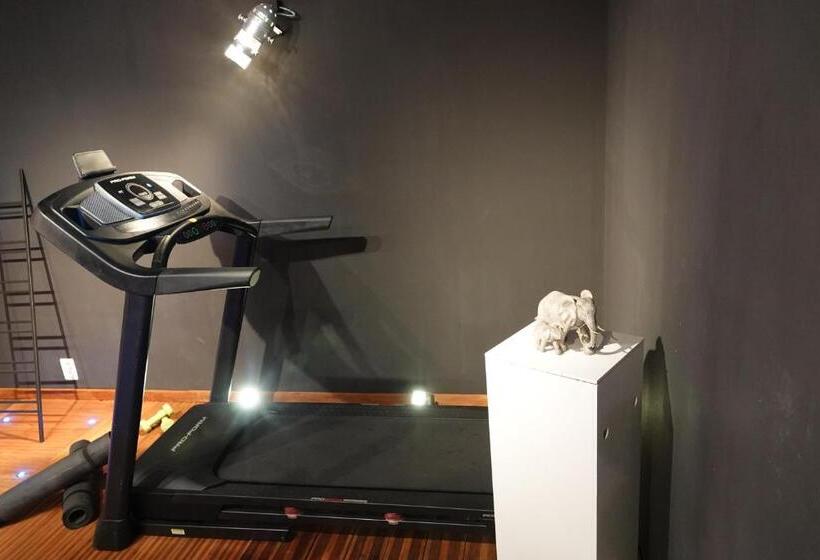 Gîte Les Grandes Maisons Cœur Forêt D Orléans Et Espace Bien être Jacuzzi Hammam Spa