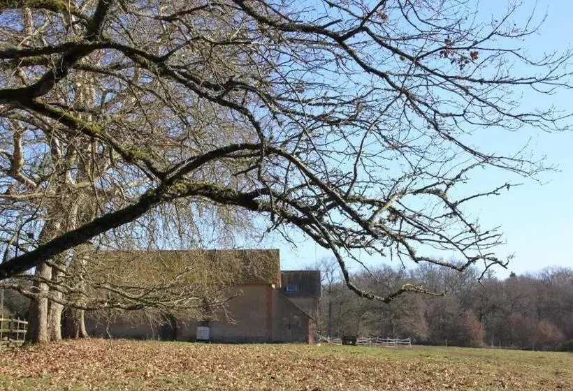 Gîte Les Grandes Maisons Cœur Forêt D Orléans Et Espace Bien être Jacuzzi Hammam Spa
