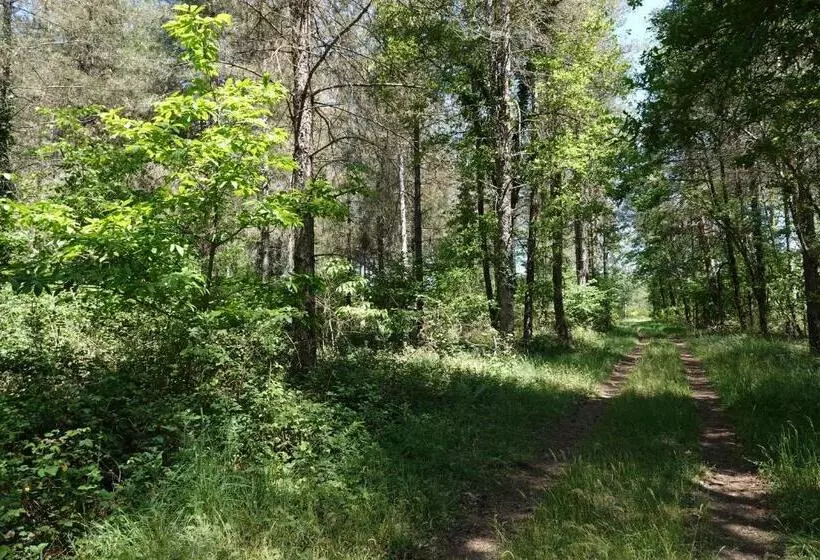 Gîte Les Grandes Maisons Cœur Forêt D Orléans Et Espace Bien être Jacuzzi Hammam Spa