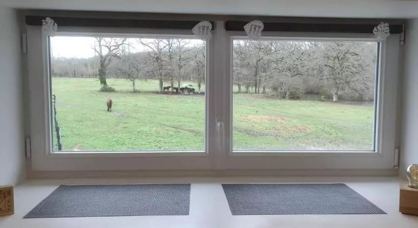 Gîte Les Grandes Maisons Cœur Forêt D Orléans Et Espace Bien être Jacuzzi Hammam Spa
