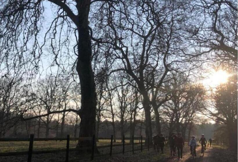 Gîte Les Grandes Maisons Cœur Forêt D Orléans Et Espace Bien être Jacuzzi Hammam Spa
