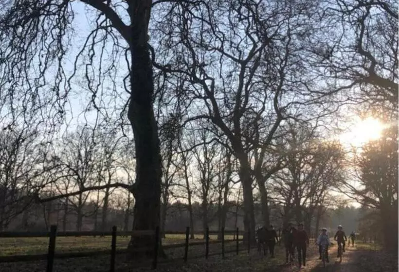 Gîte Les Grandes Maisons Cœur Forêt D Orléans Et Espace Bien être Jacuzzi Hammam Spa