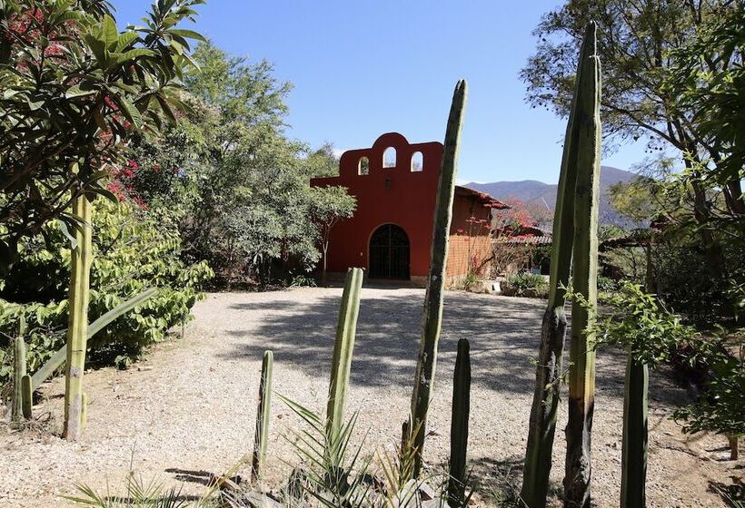 فندق Huayápam Yù ú Lodge