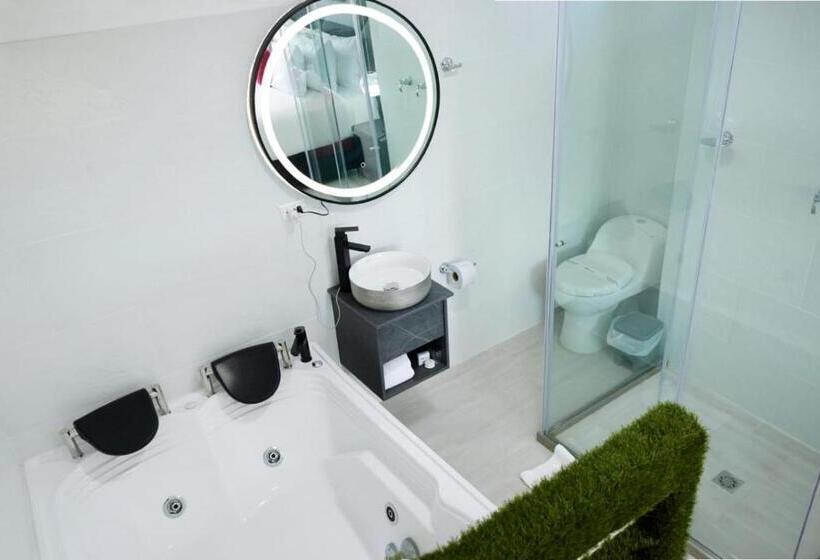 هتل San Francisco Pitalito