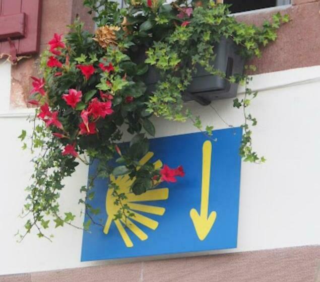 Hostel La Vita E Bella