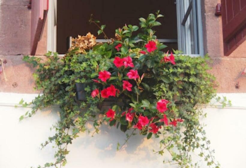 Hostel La Vita E Bella