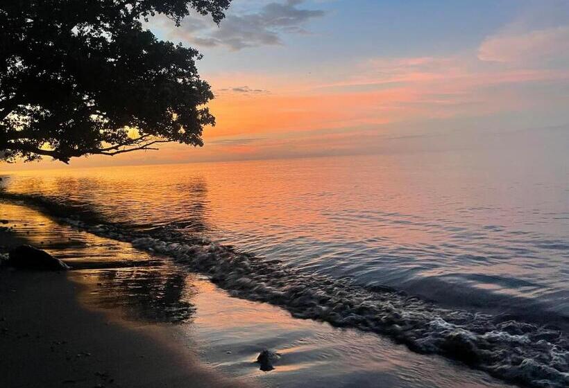 Bed and Breakfast Borbon S Treehouse By The Sea
