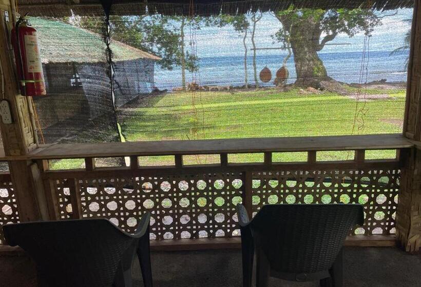 Bed and Breakfast Borbon S Treehouse By The Sea