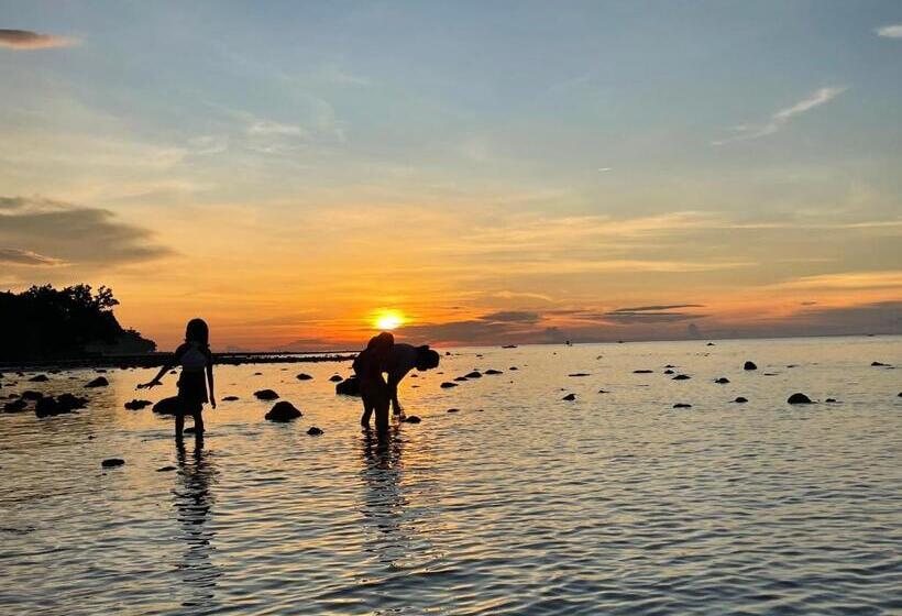 Bed and Breakfast Borbon S Treehouse By The Sea