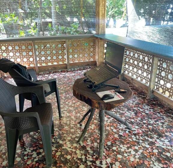 Bed and Breakfast Borbon S Treehouse By The Sea