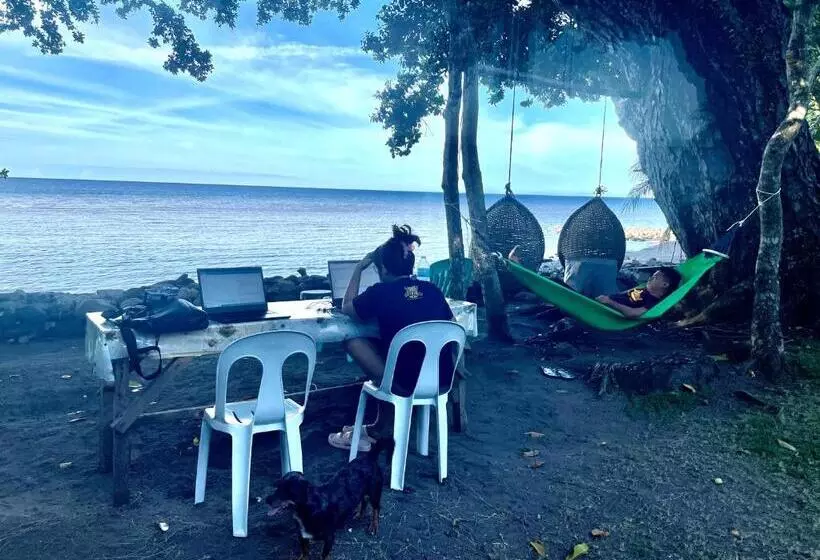 Aamiaismajoitus (B&B) Borbon S Treehouse By The Sea