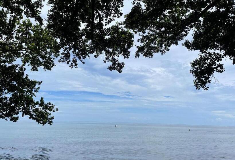 Bed and Breakfast Borbon S Treehouse By The Sea