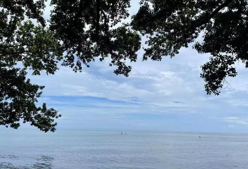 Aamiaismajoitus (B&B) Borbon S Treehouse By The Sea