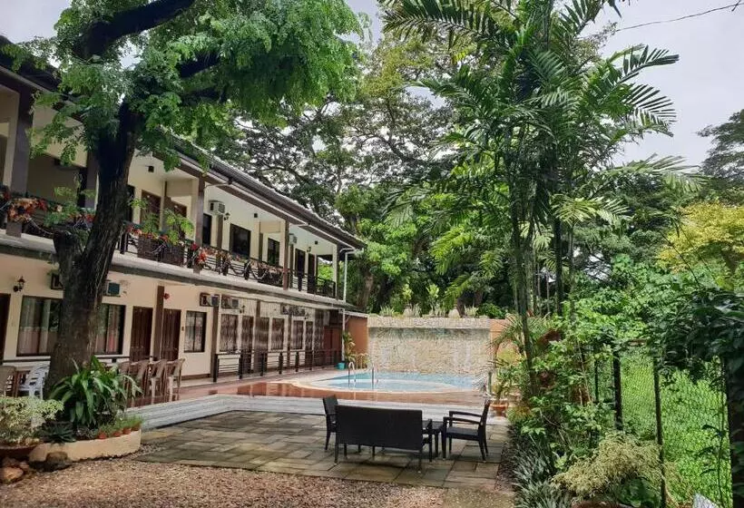 تختخواب و صبحانه Diakopes Inn